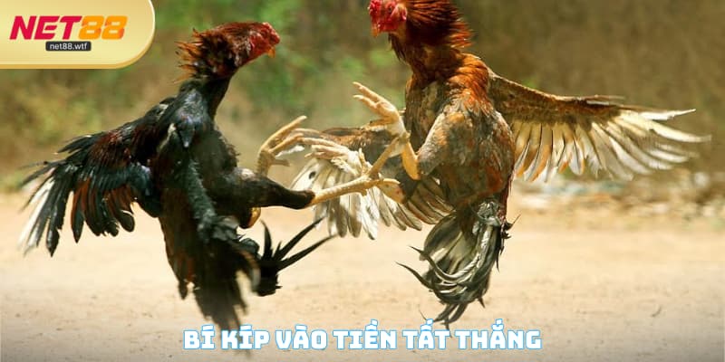 Bí kíp vào tiền tất thắng