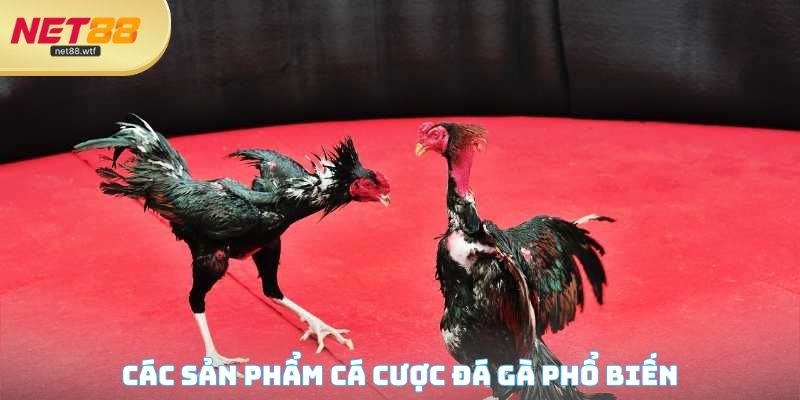 Nhà cái mang đến đa dạng sản phẩm nhằm đáp ứng nhu cầu hội viên