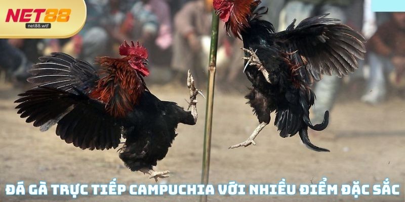 Sân chơi mang đến nhiều lợi ích nổi bật thu hút người tham gia