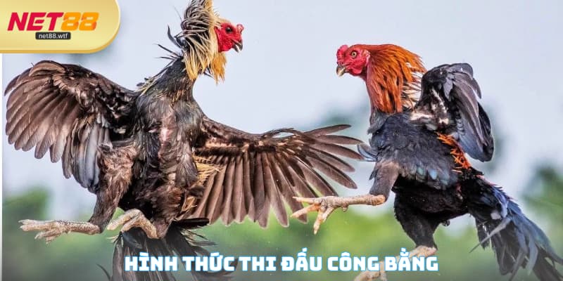 Hình thức thi đấu công bằng