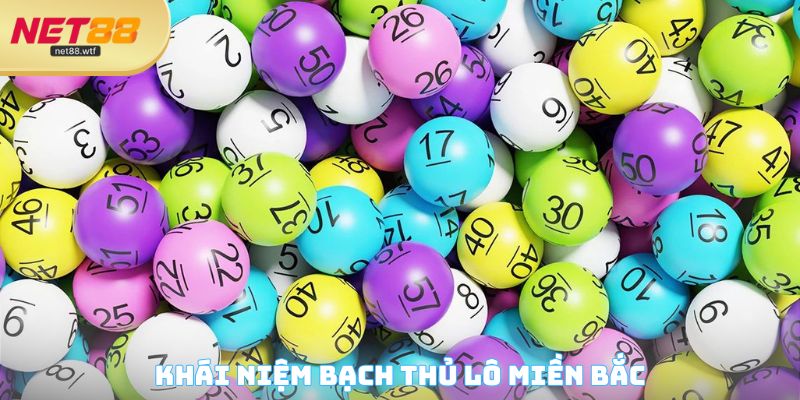 Khái niệm bạch thủ lô miền Bắc