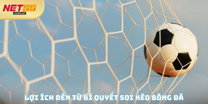 Lợi ích đến từ bí quyết soi kèo bóng đá