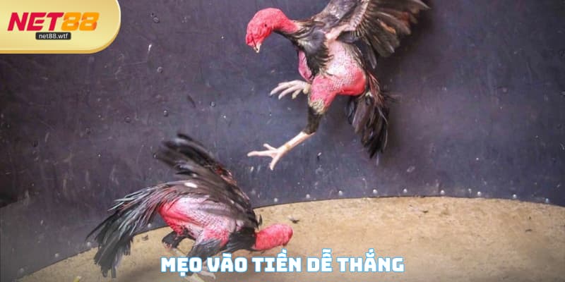 Mẹo vào tiền dễ thắng